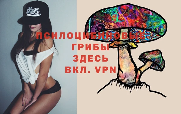 героин Алзамай