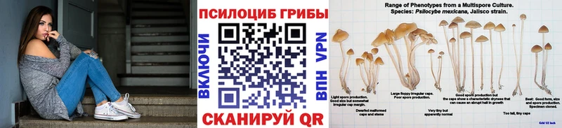 купить наркотики сайты  MEGA tor  Галлюциногенные грибы Psilocybine cubensis  Среднеколымск 